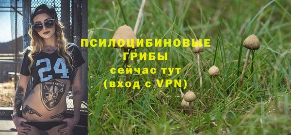 экстази Осинники