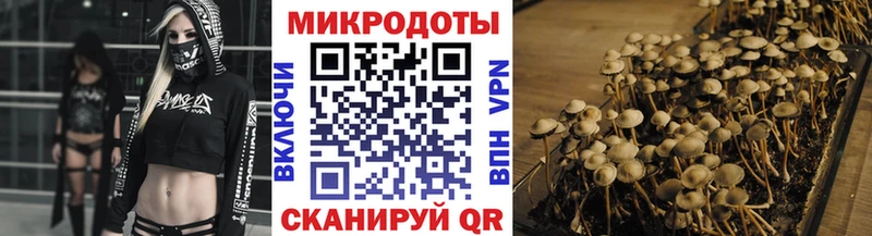 где продают наркотики сайты даркнета Telegram Галлюциногенные грибы мицелий Красноперекопск