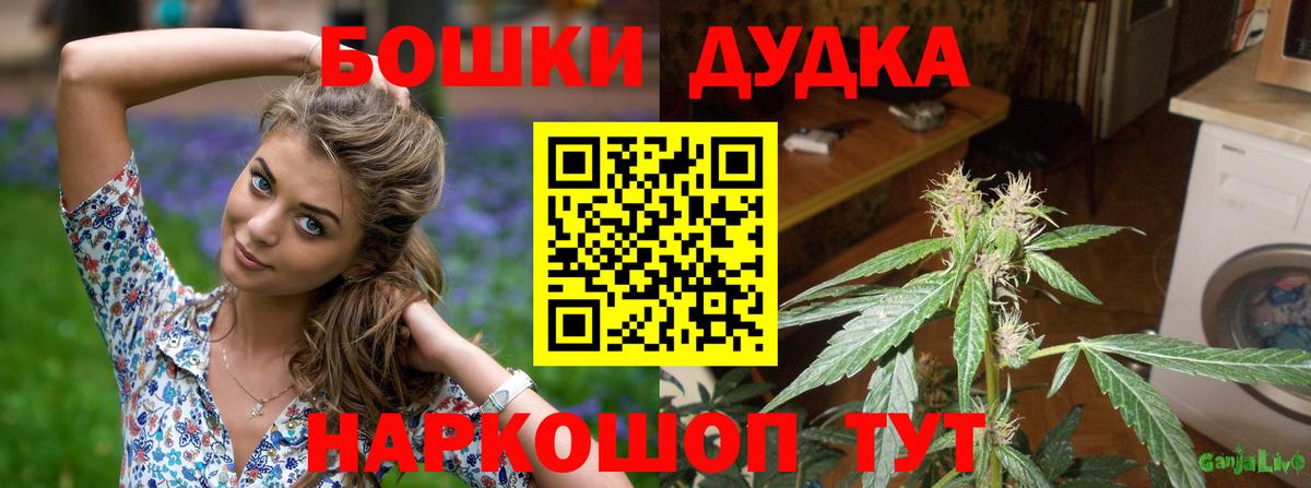 Конопля марихуана Красноперекопск